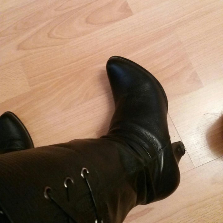 Сапоги осень