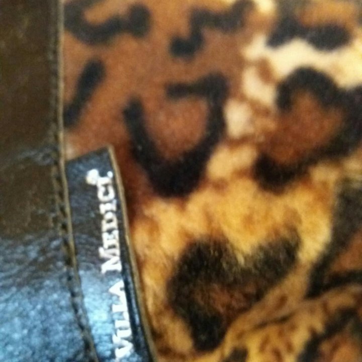 Сапоги осень