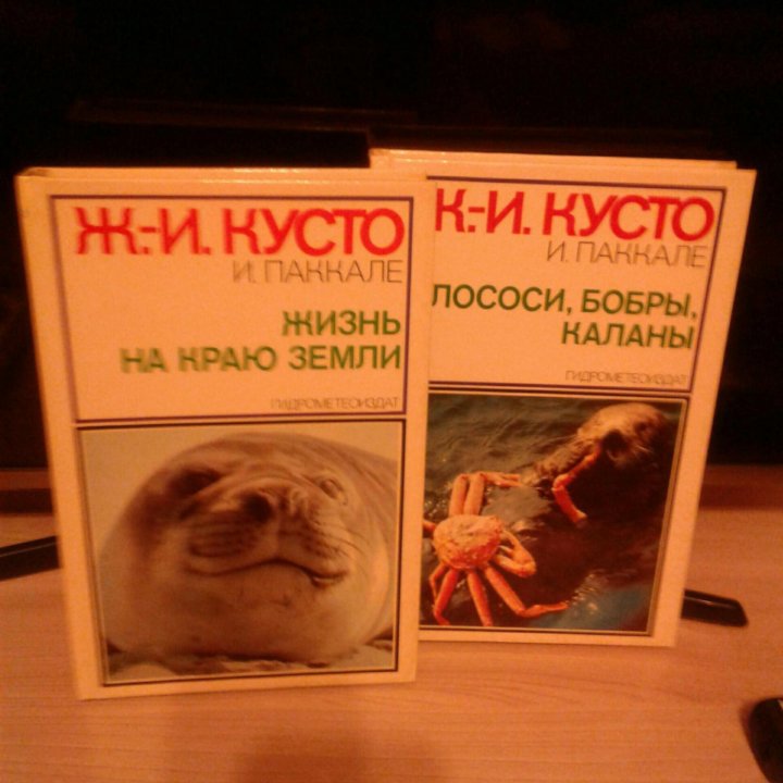 Книги 2 шт