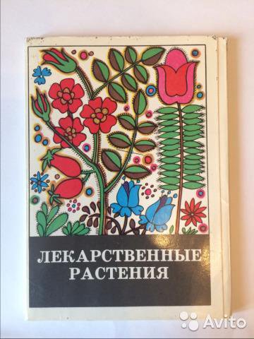 Наборы открыток Экскурсия в природу