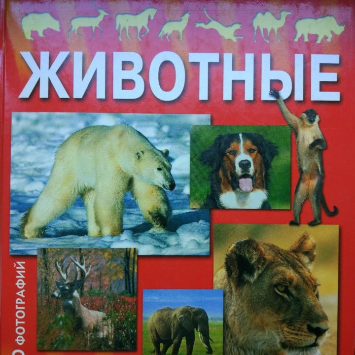 Энциклопедия 