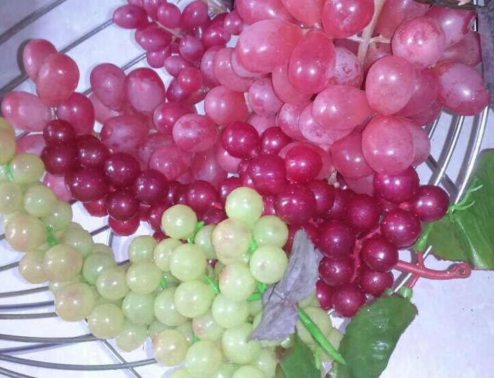 Искусственные ветви винограда