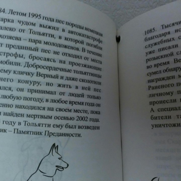 Книги! Новые!