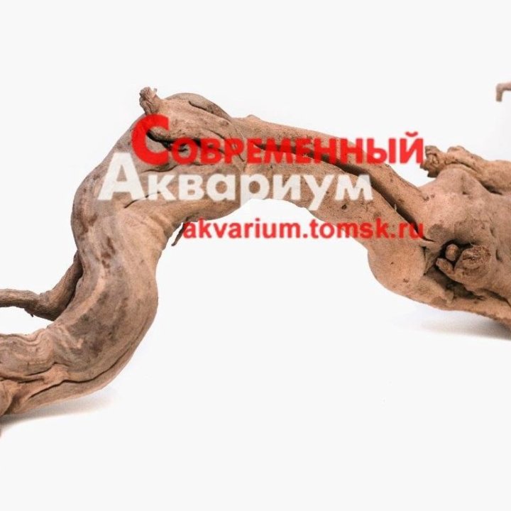 Коряга натуральная для аквариума