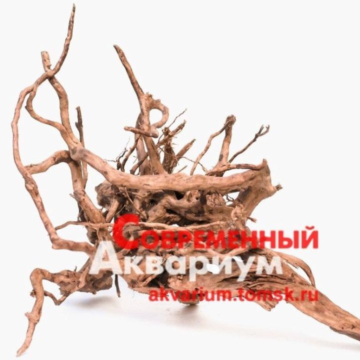 Коряга натуральная для аквариума