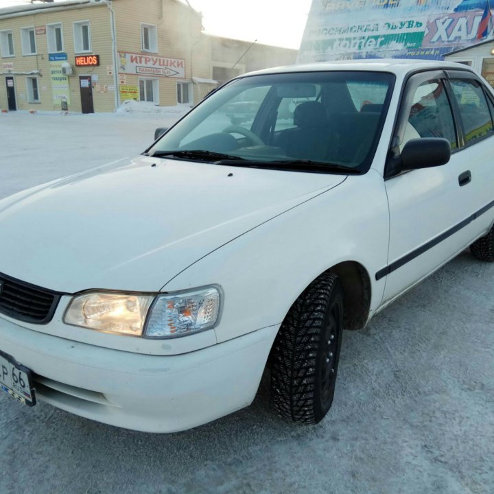 Аренда Toyota Corolla, Toyota Platz