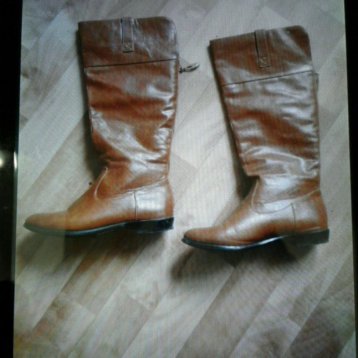 Сапоги демисезон