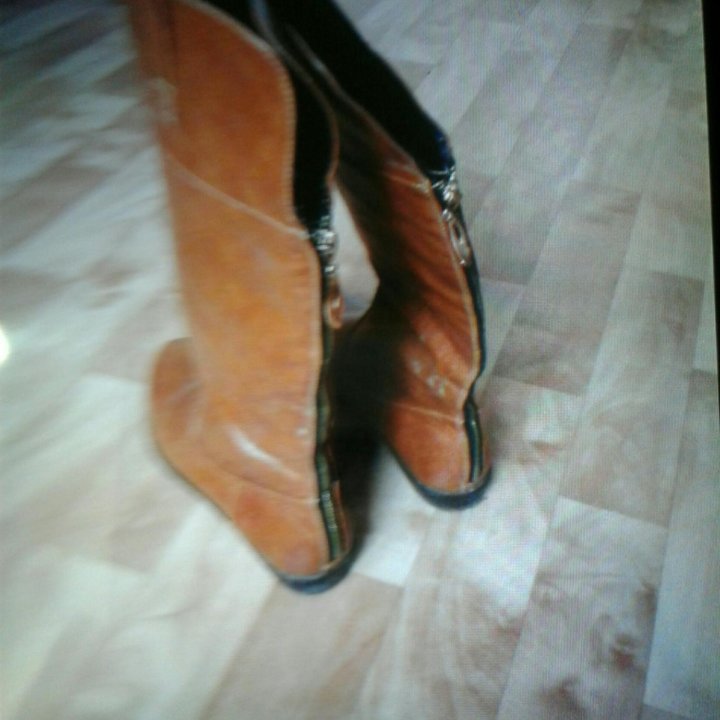 Сапоги демисезон