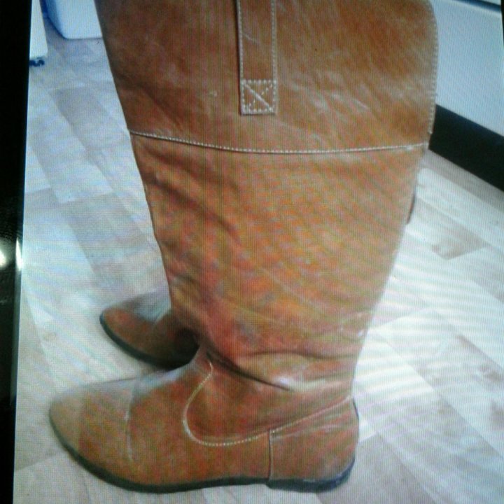 Сапоги демисезон