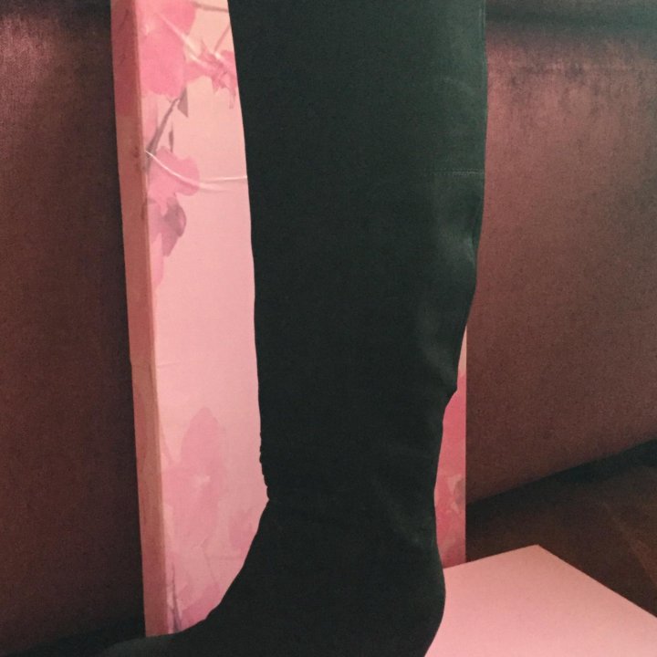 Сапоги демисезон