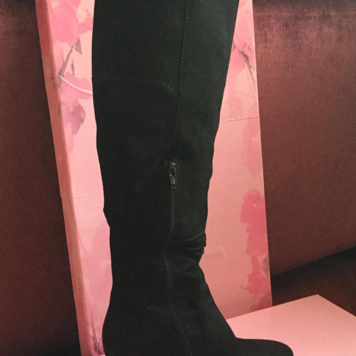 Сапоги демисезон