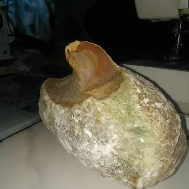 Метеорит каменный