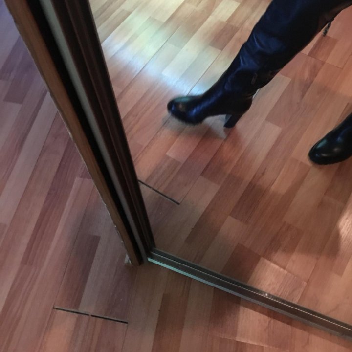 Ботфорты новые