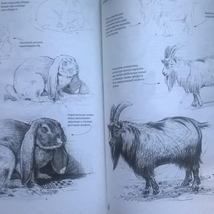 Рисунок карандашом