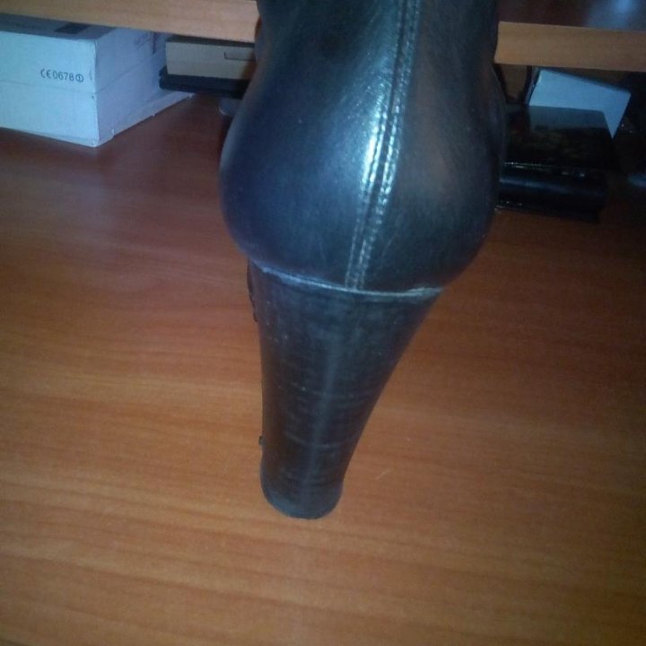 Сапоги осень