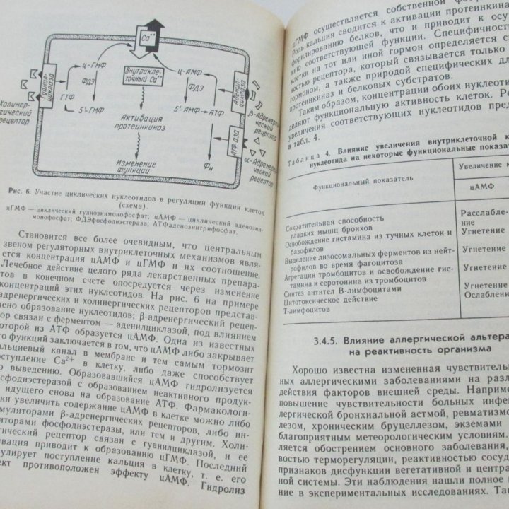 Пыцкий В.И. Аллергические заболевания.