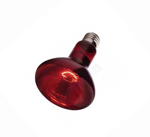 Лампа красная инфракрасная 250 Вт для птиц