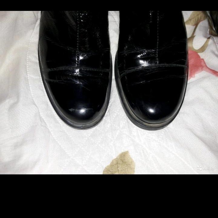 Сапоги Baldinini