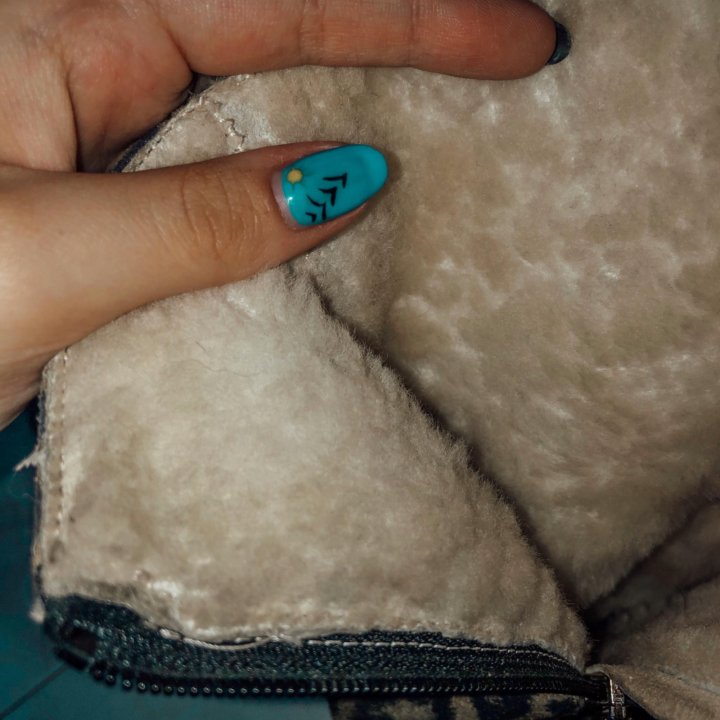 Сапоги baldinini