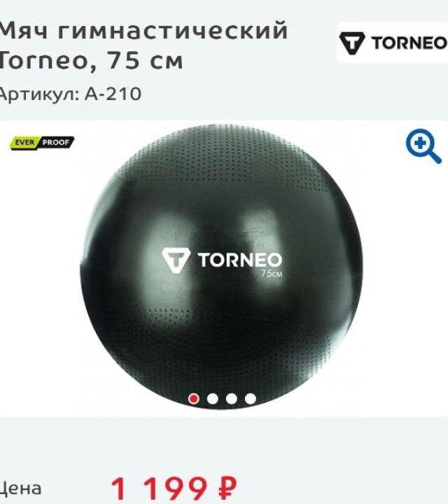 Мяч гимнастический Torneo