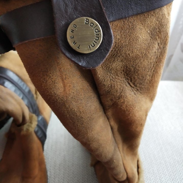 Сапоги baldinini