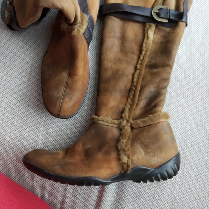 Сапоги baldinini