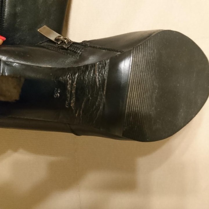 Сапоги Fabiani