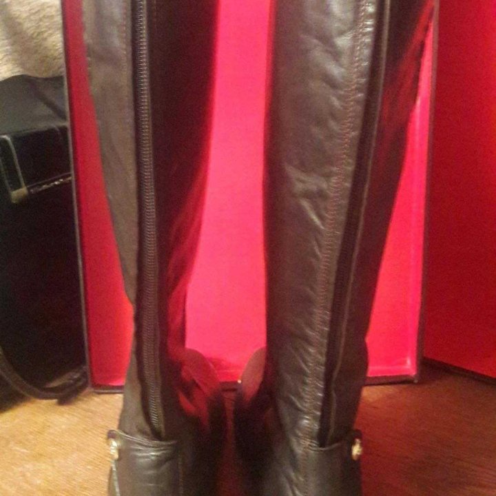 Сапоги Baldinini