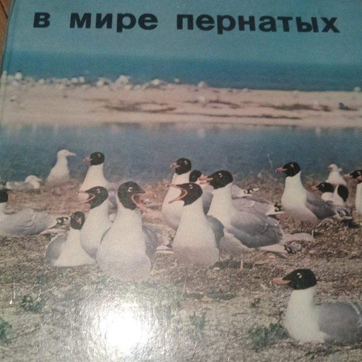 Книги для детей.