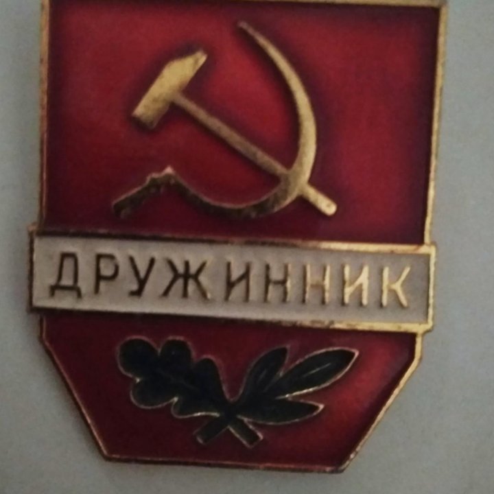 Значок ДРУЖИННИК