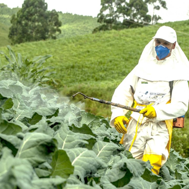 Дезинфекция, дезинсекция, дератизация, дезодорация