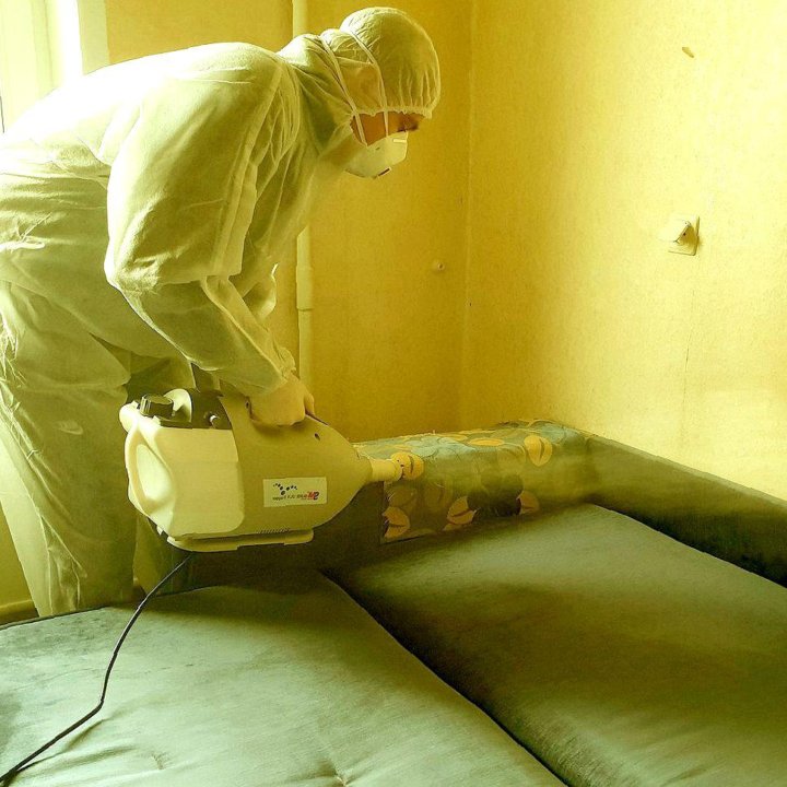 Дезинфекция, дезинсекция, дератизация, дезодорация