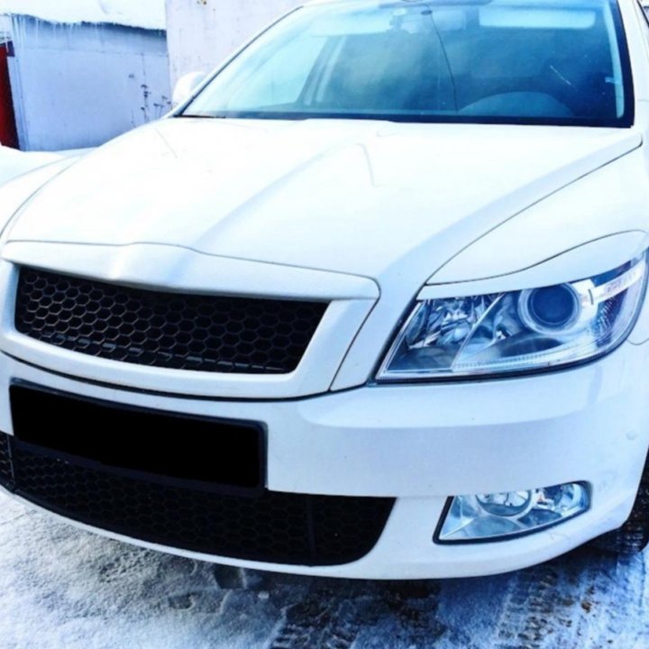 Реснички фар Skoda Octavia a5