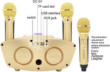 Караоке система на два микрофона SDRD SD-306