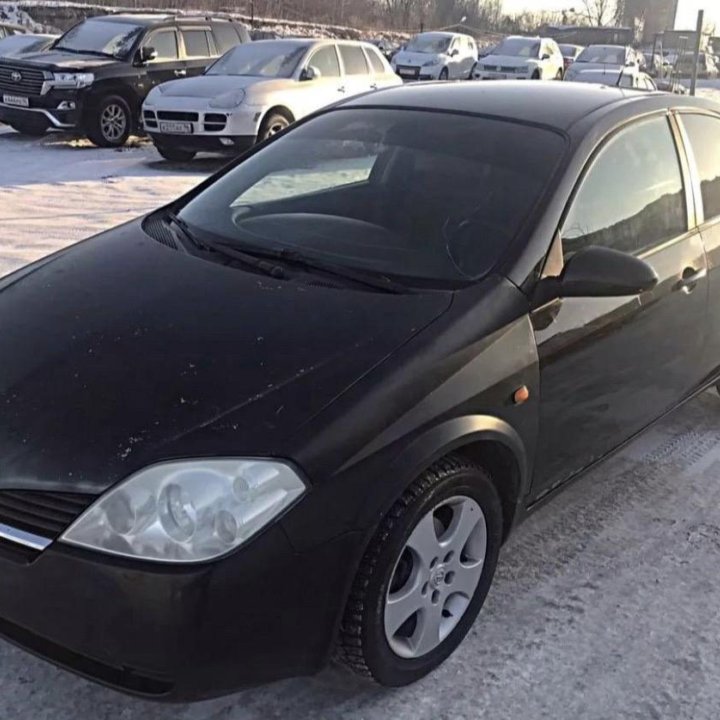 Разбор nissan primera 2002-2006г P12