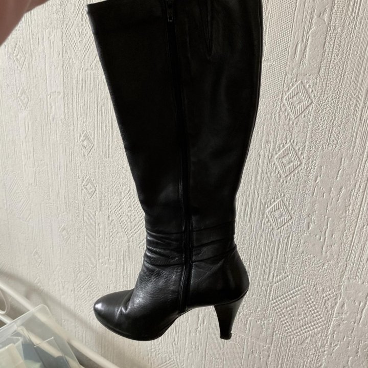 Сапоги демисезонные