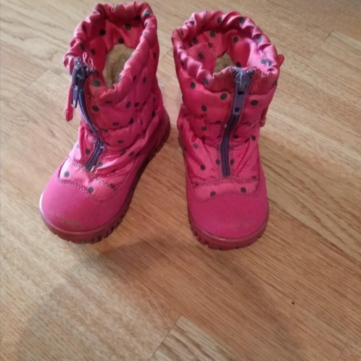 Сапоги демисезонные