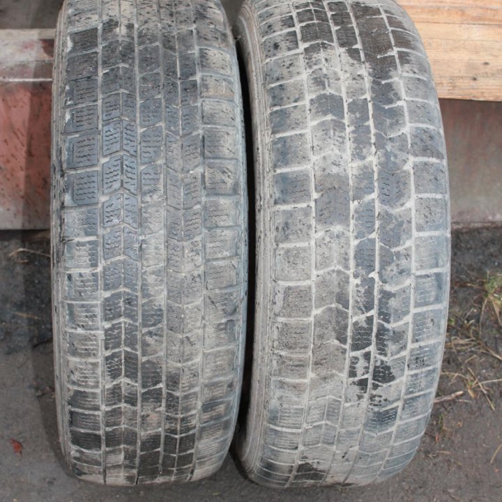 Dunlop Graspic DS-3 195/65/R15