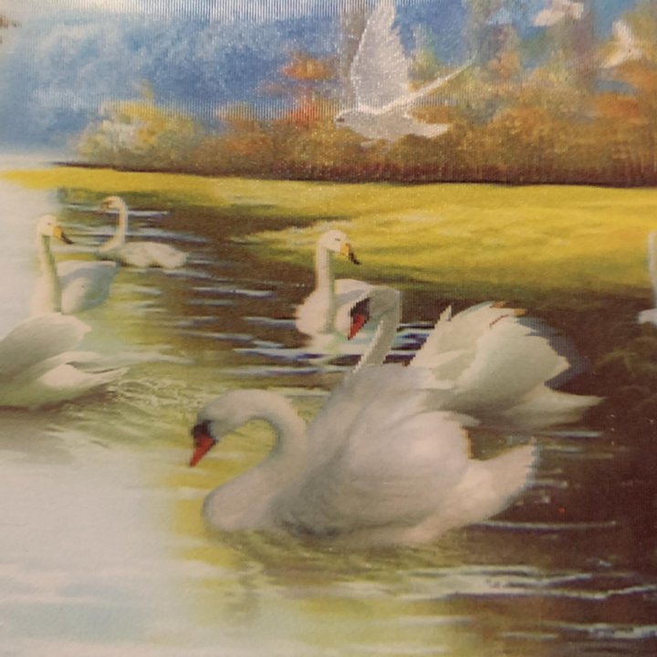 Картина с 3D эффектом