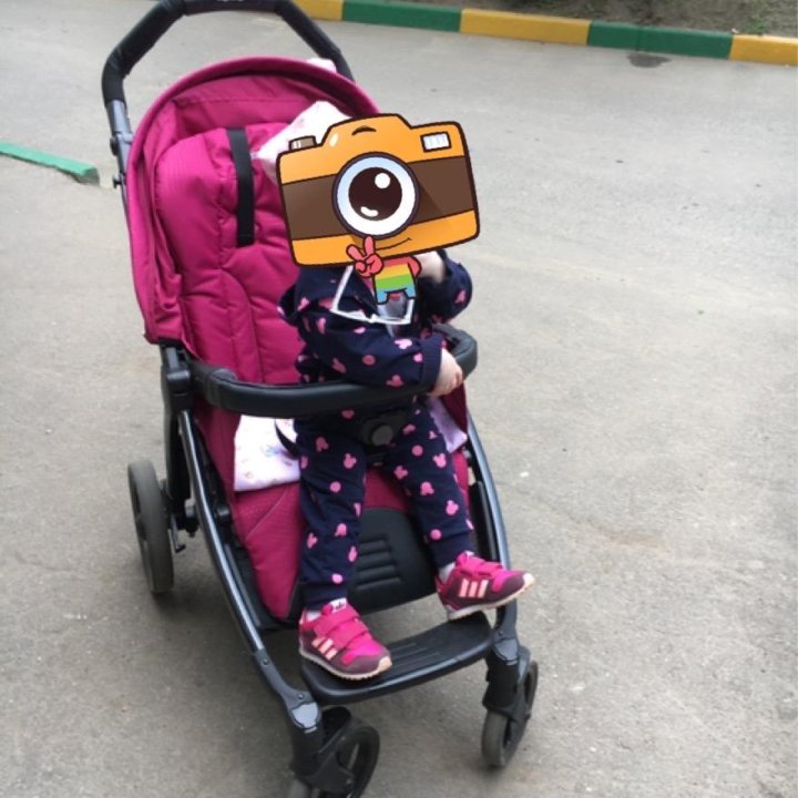 Детская коляска Peg Perego Book