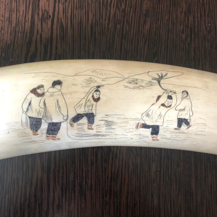 Клыки моржовые