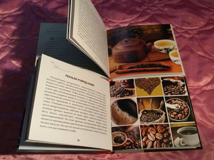 электронный альбом готовых решений для цветников. каталог работ. альбом готовых решений. альбом готовых решений. фотокниг ботаник.