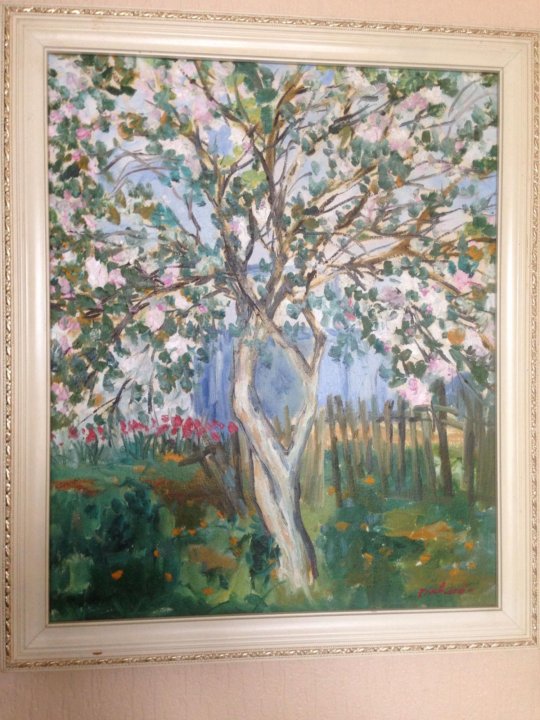 Павлов д т. Картина маслом Цветущая яблоня 30×40.