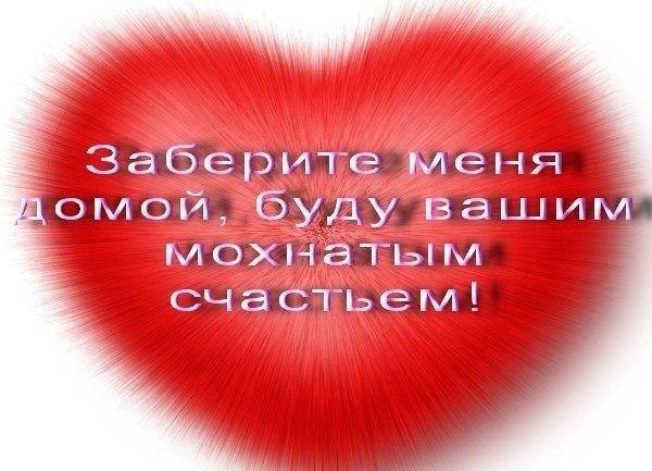 Картинка в добрые руки
