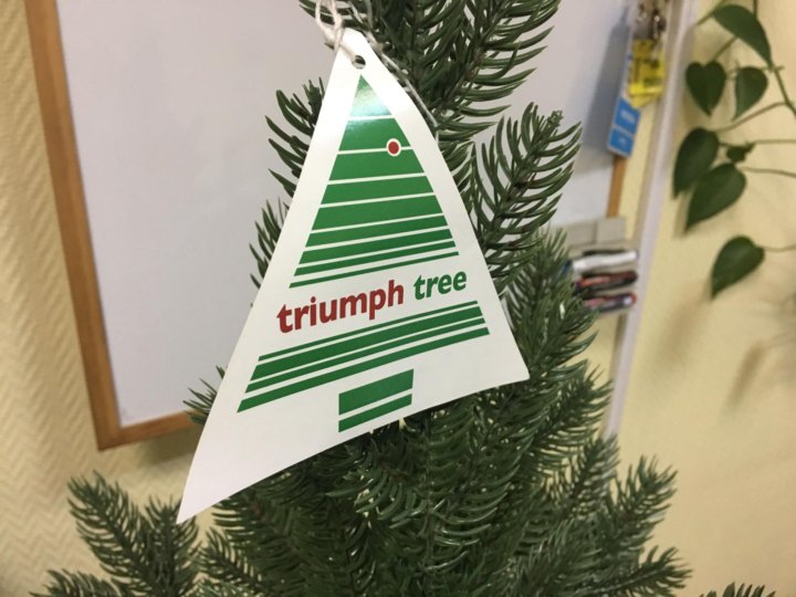 Елки triumph tree