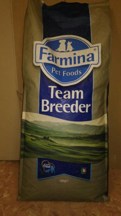 girls-teen-breeder-porn