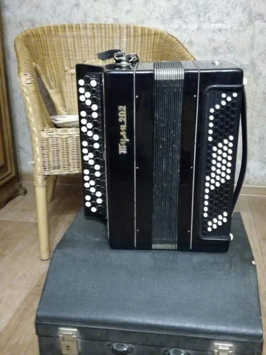 Баян 202. Баян этюд 1970. Баян тула 202. Баян тула. Баян дебют.