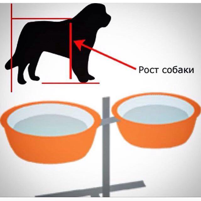 Подставка для собак для кормления своими руками чертежи