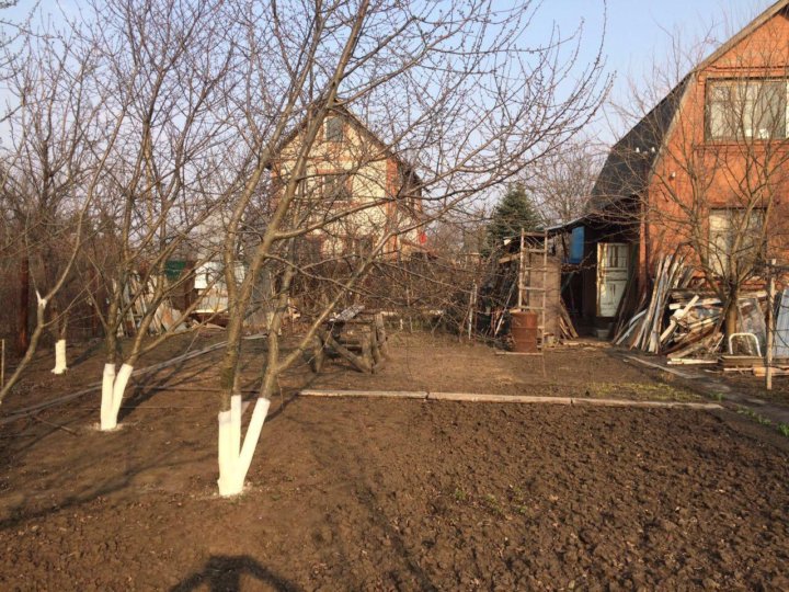 СНТ Ростсельмашевец 2 Ростов-на-Дону.