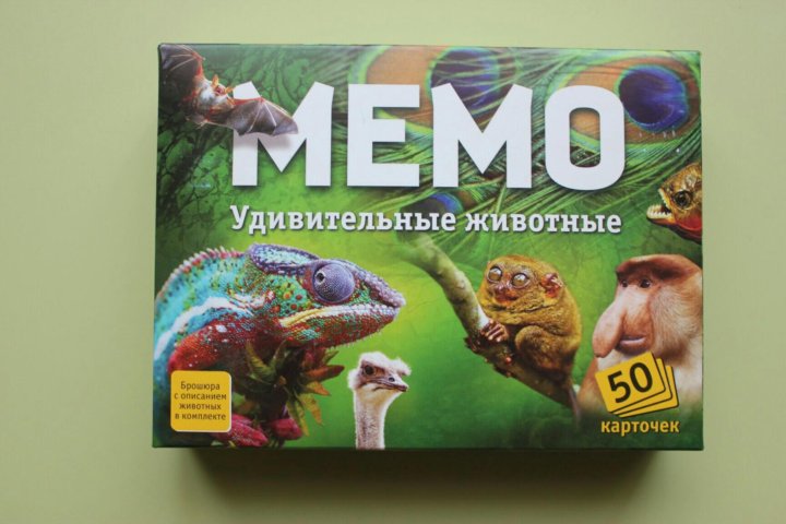 Игра мемо животные. Мемо удивительные животные. Мемо удивительные животные книга.